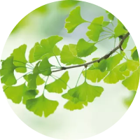 list icon