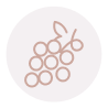 list icon